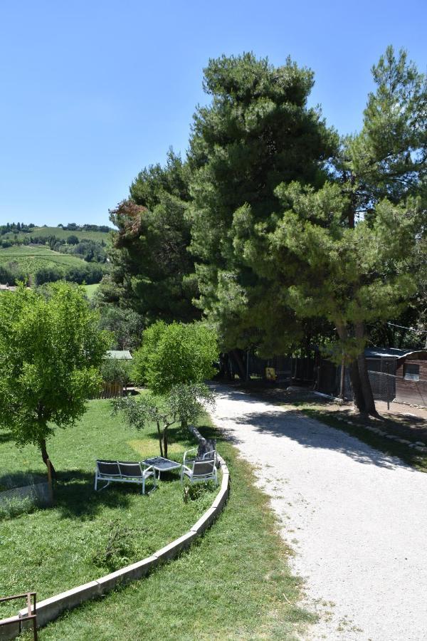 Fattoria Country Village Montecarotto Luaran gambar